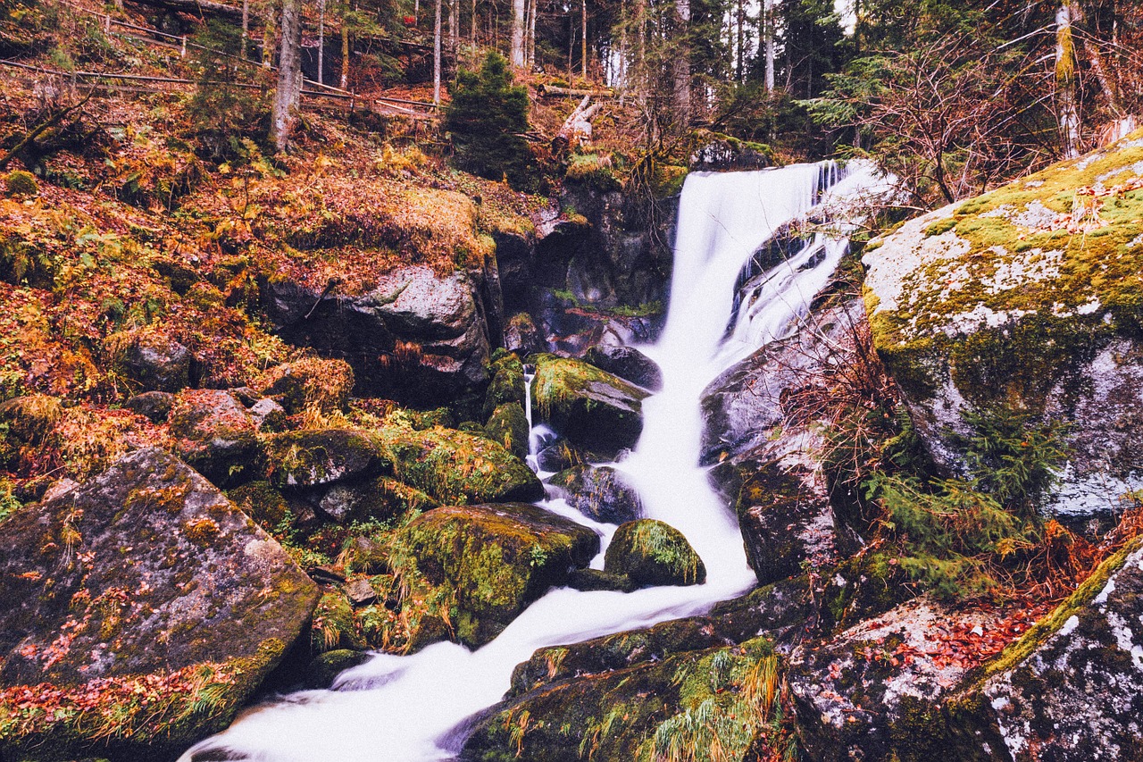 waterfall stream forest free photo