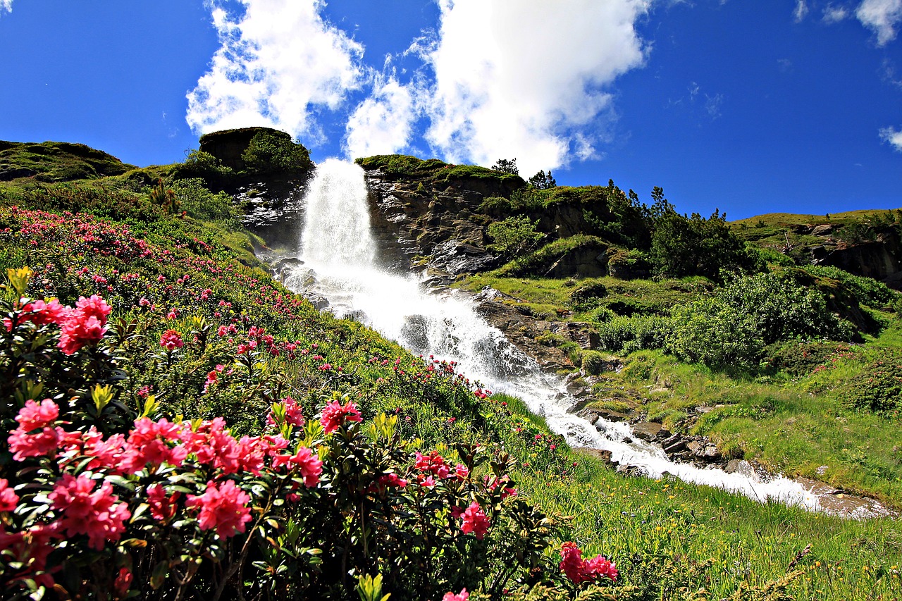 waterfall  alpine  nature free photo