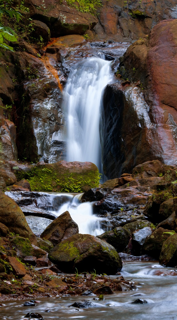 waterfall  water  nature free photo