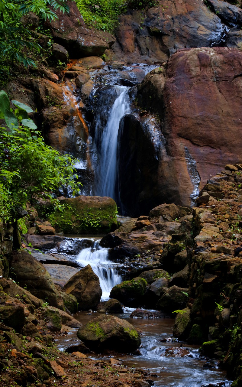 waterfall  water  nature free photo