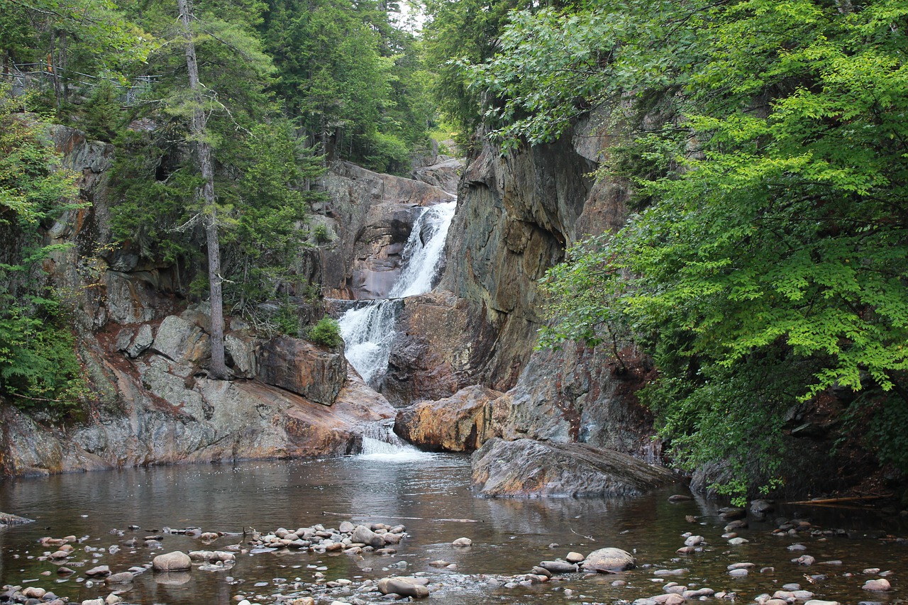 waterfall  trees  landscape free photo