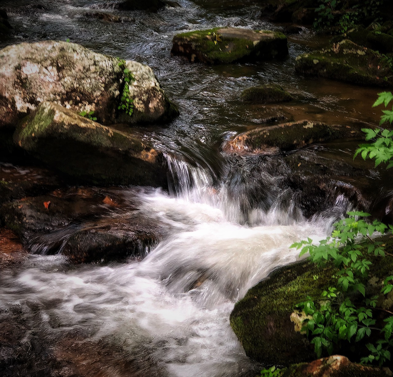 waterfall  water  nature free photo