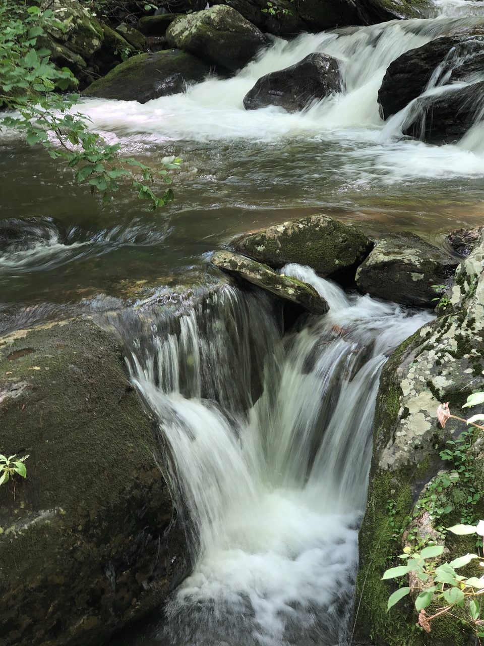 waterfall  water  nature free photo