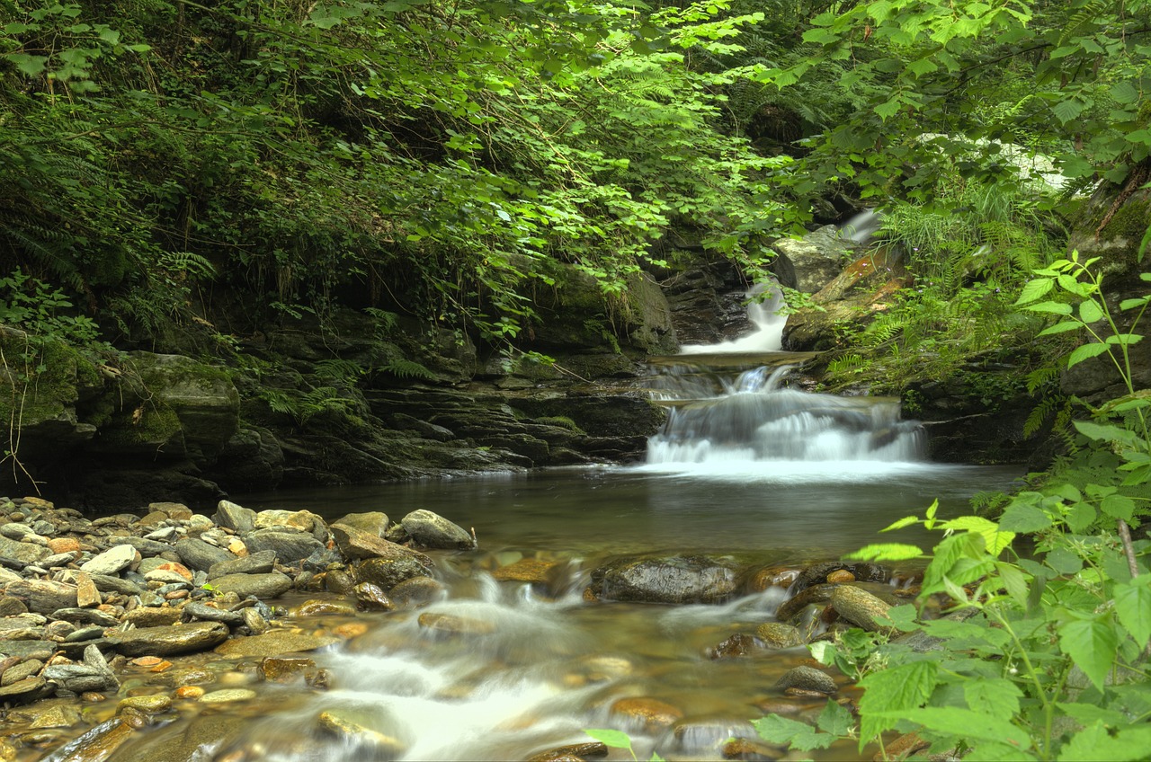 waterfall  water  landscape free photo