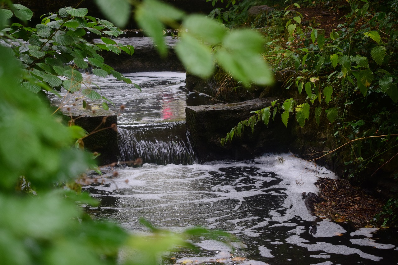 waterfall  river  water free photo