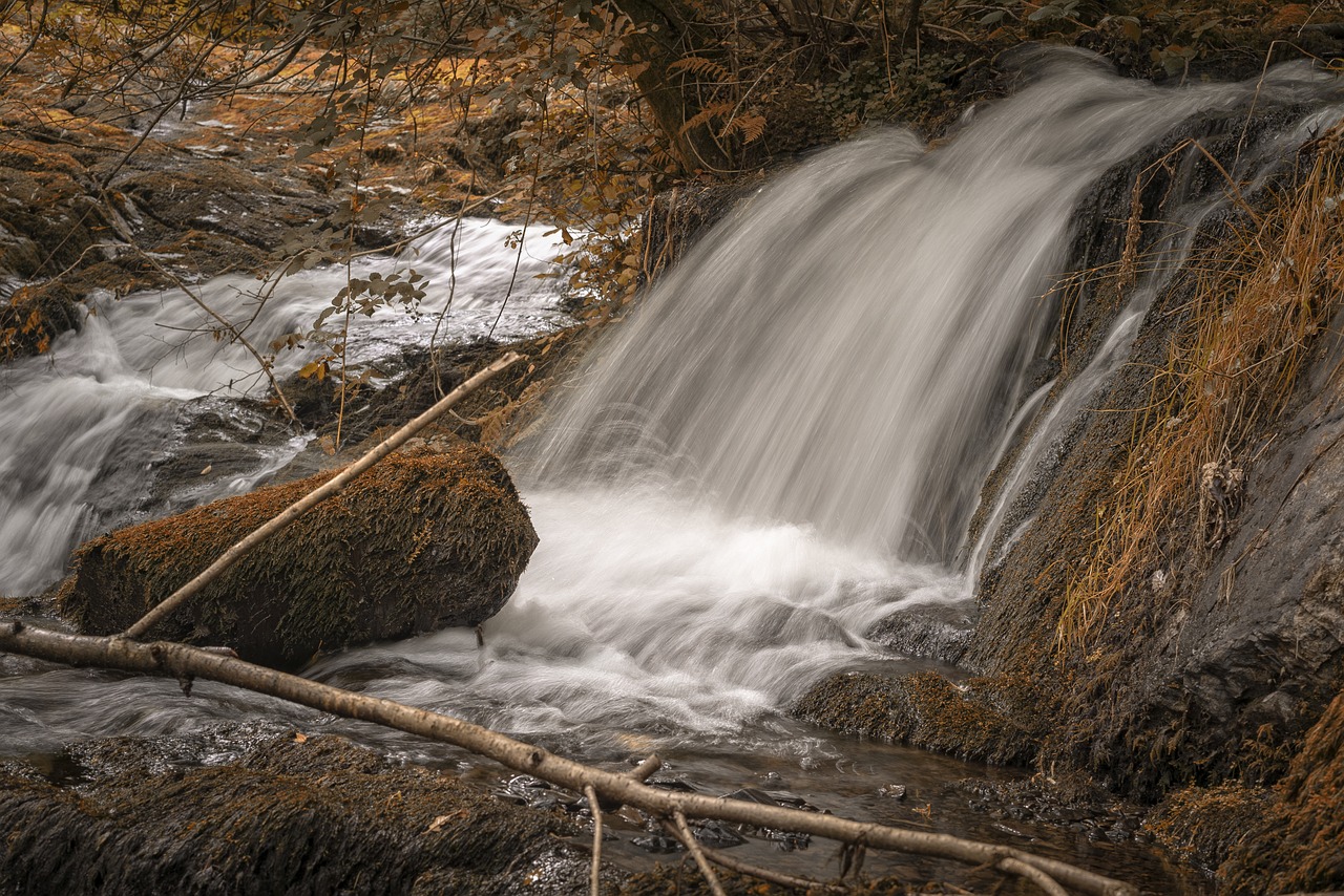 waterfall  stream  flowing free photo