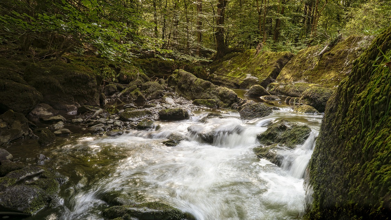 waterfall  stream  cascade free photo