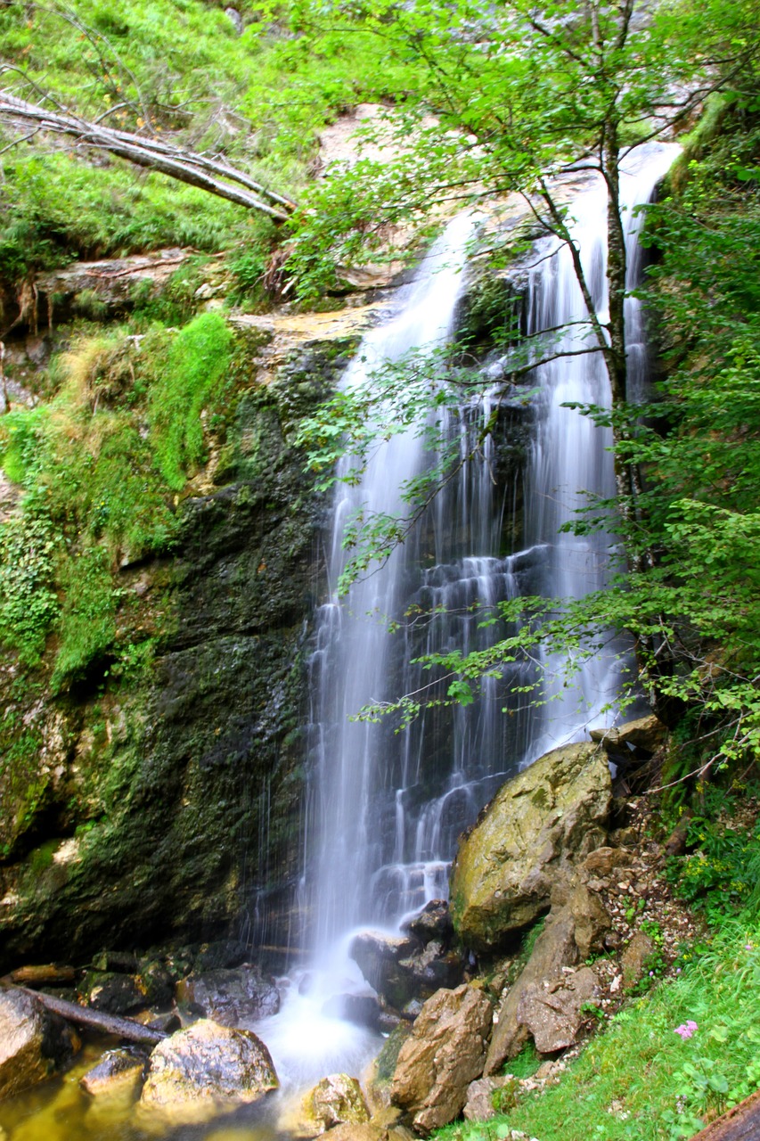 waterfall  water  nature free photo