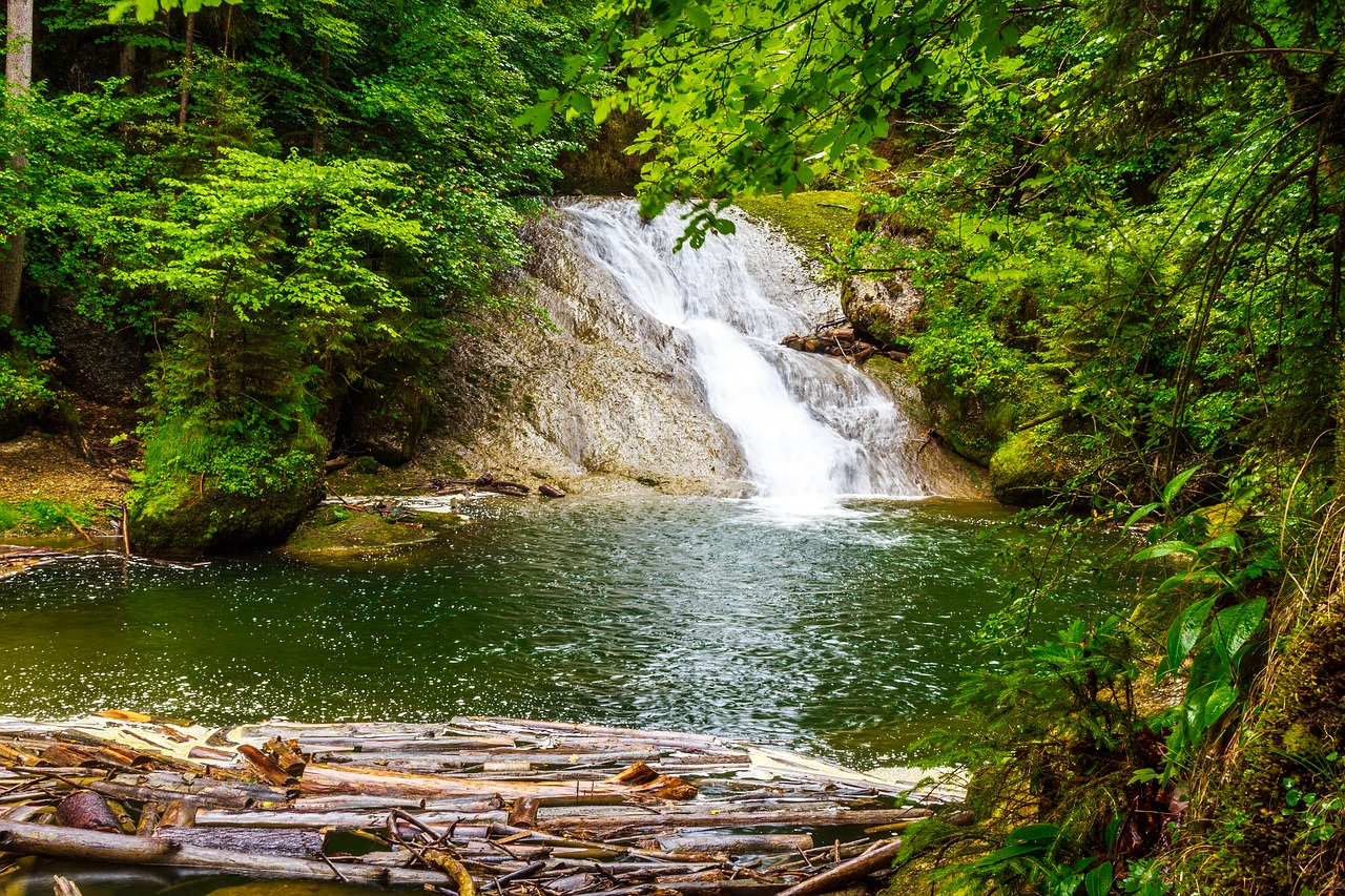 waterfall  river  eistobel free photo