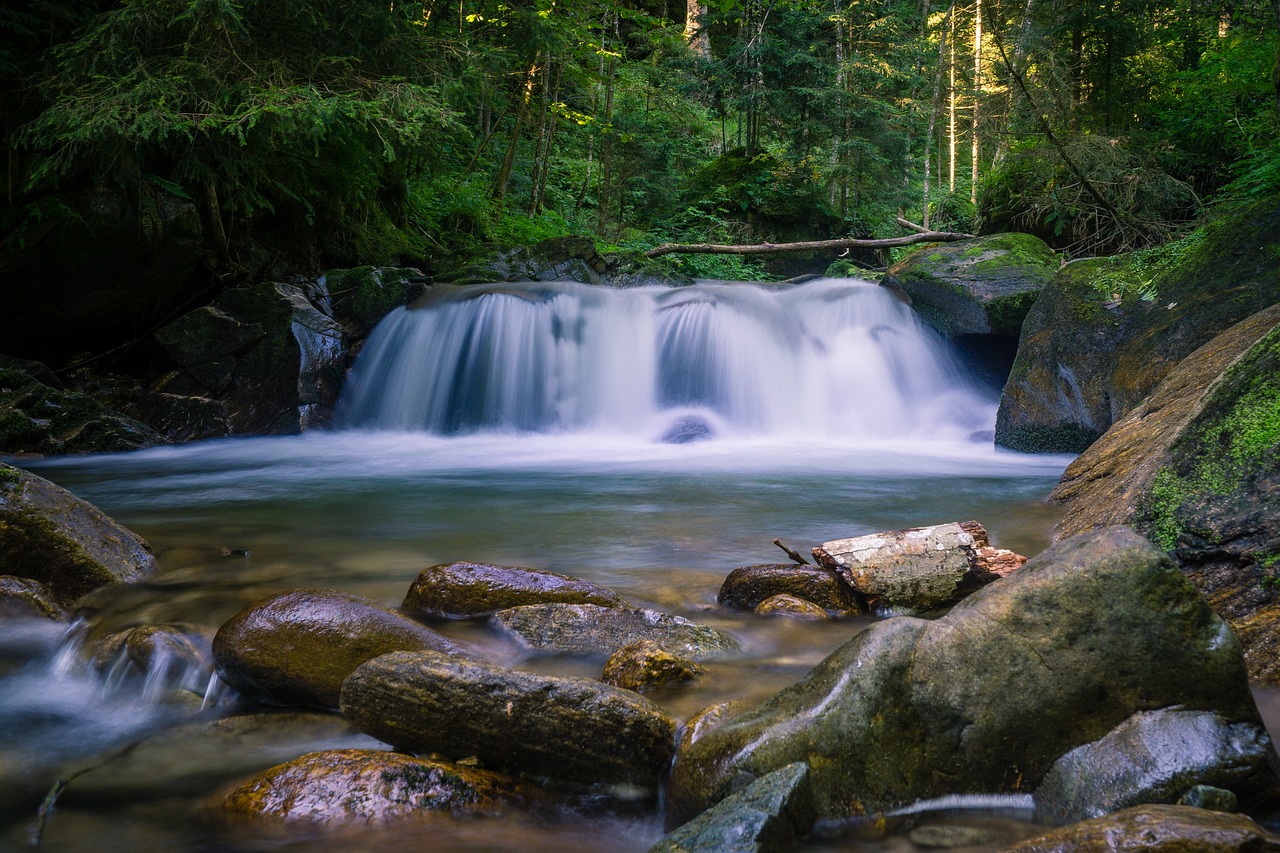 waterfall  river  nature free photo