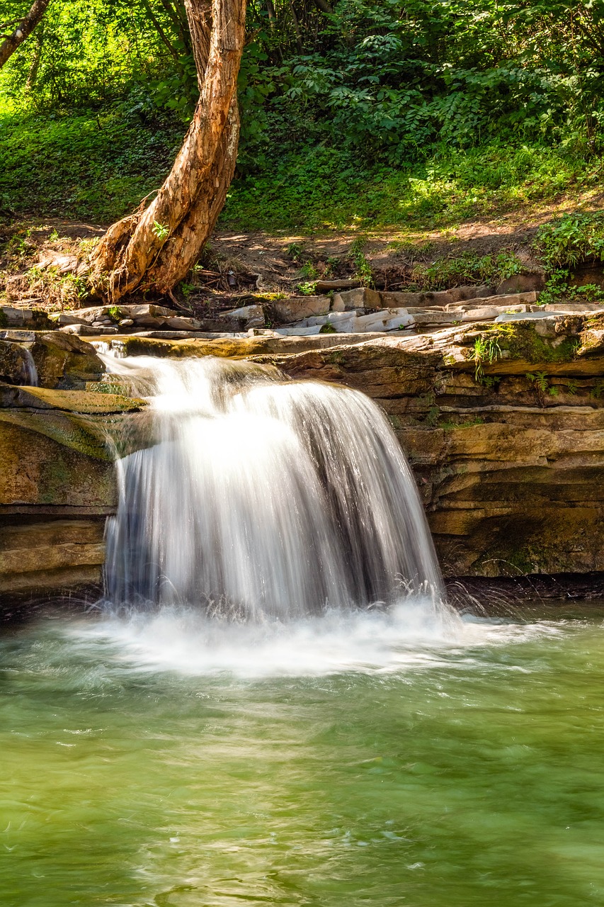 waterfall  river  cascade free photo