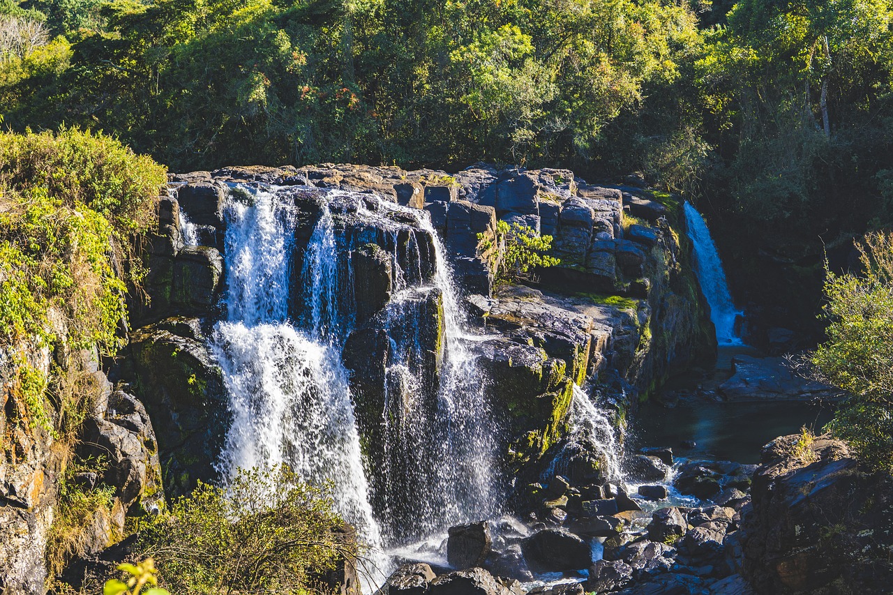 waterfall  water  jungle free photo