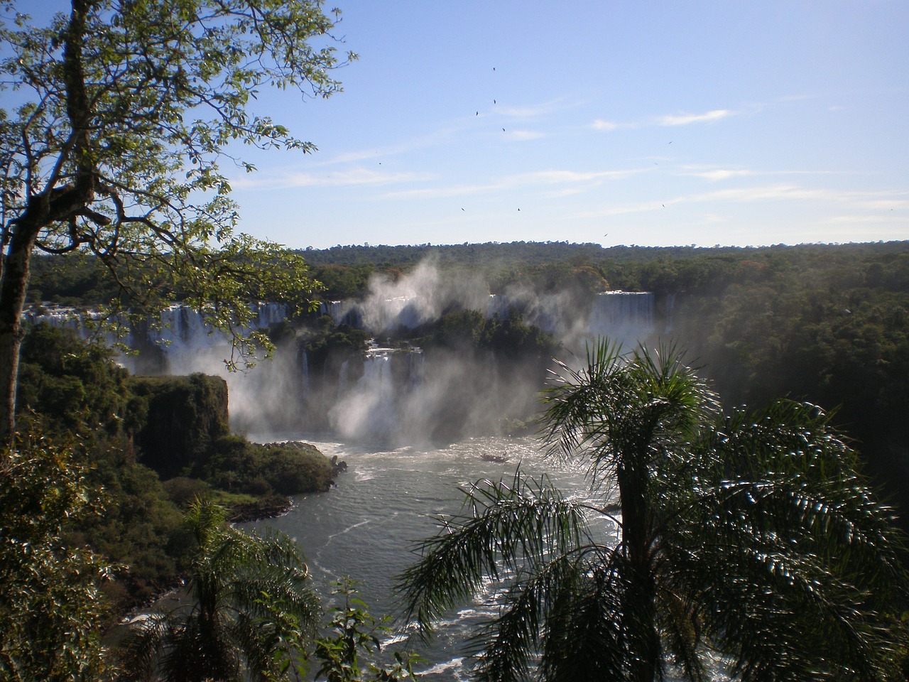 waterfall cascade falls iguazu free photo