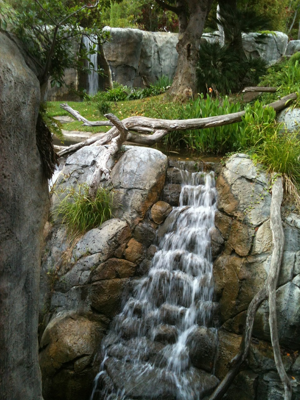 waterfall lush water free photo