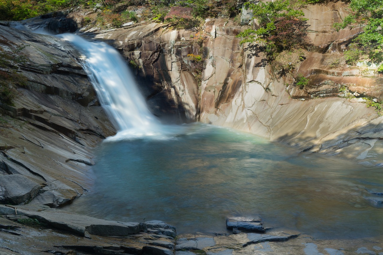 waterfall  nature  water free photo