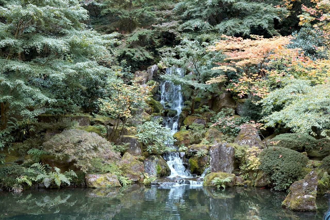 waterfall  green  nature free photo