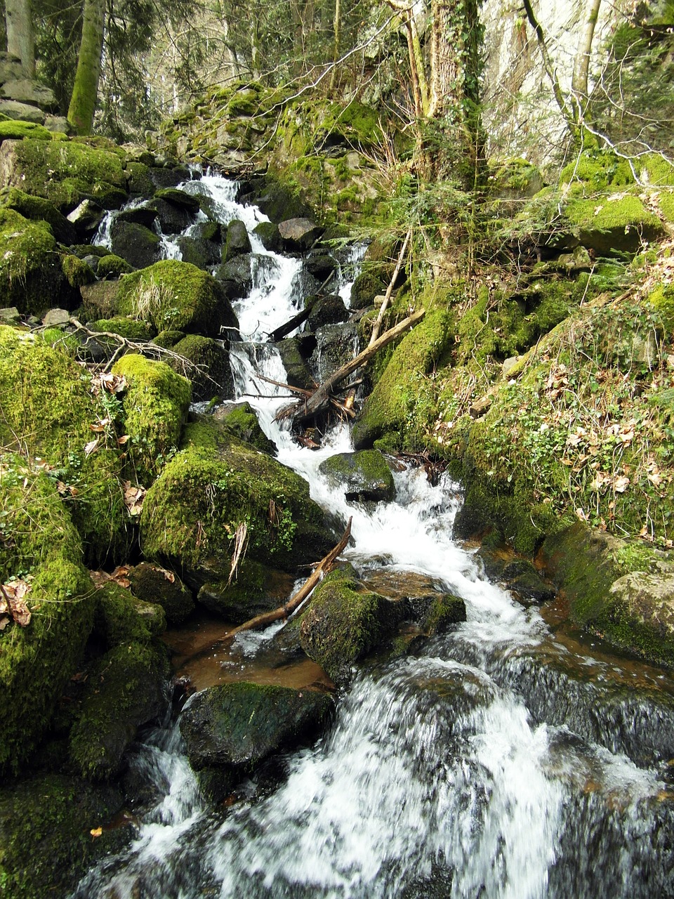 waterfall wieladingen murg valley free photo