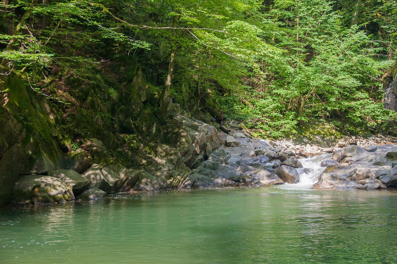 waterfall  water  nature free photo