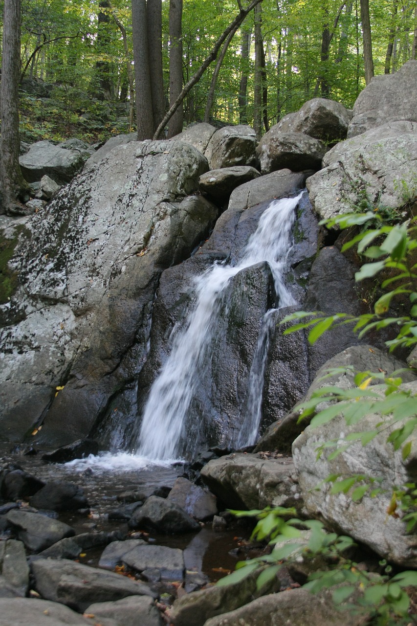 waterfall forest nature free photo