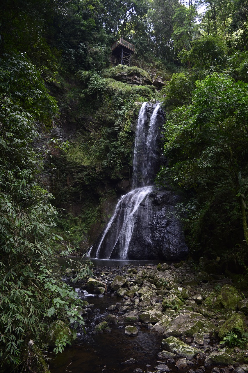 waterfall  nature  water free photo