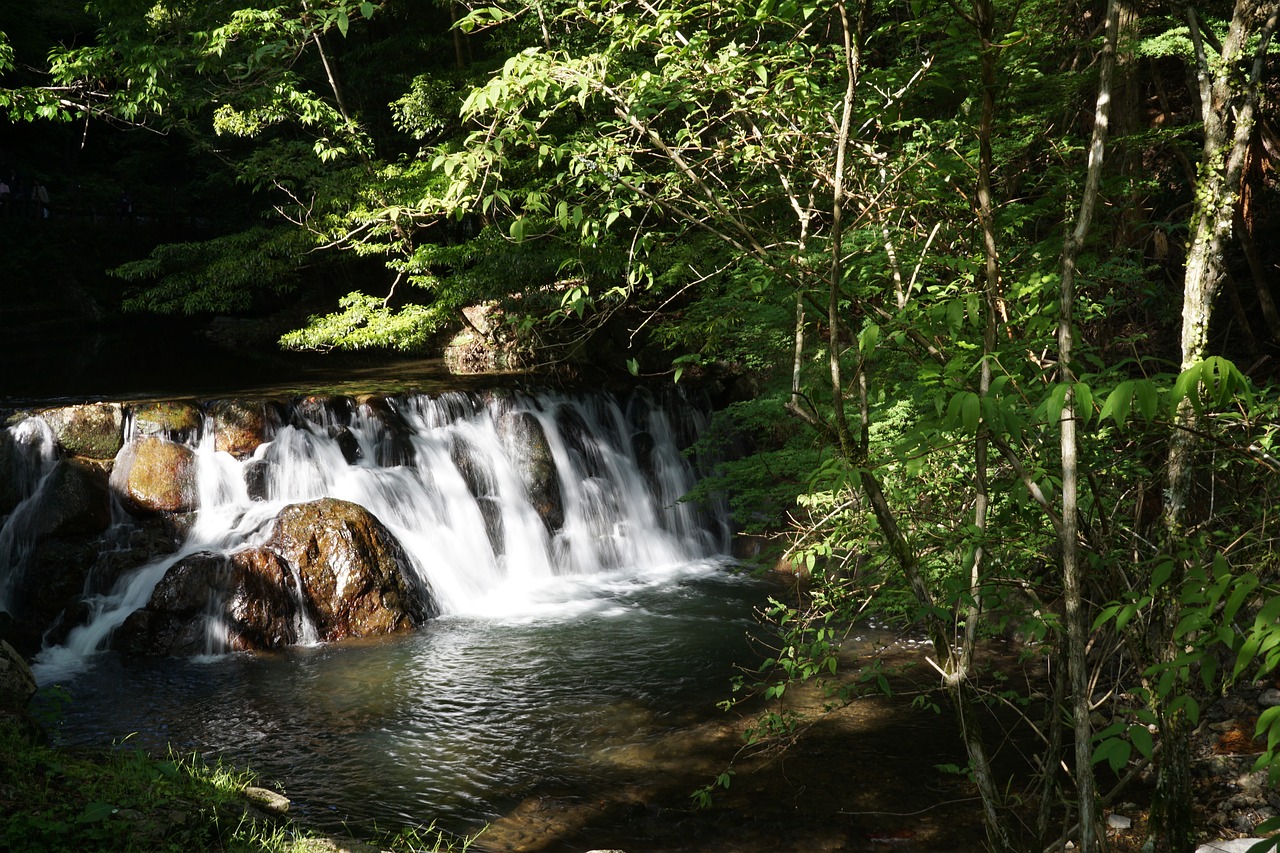 waterfall  forest  japan free photo