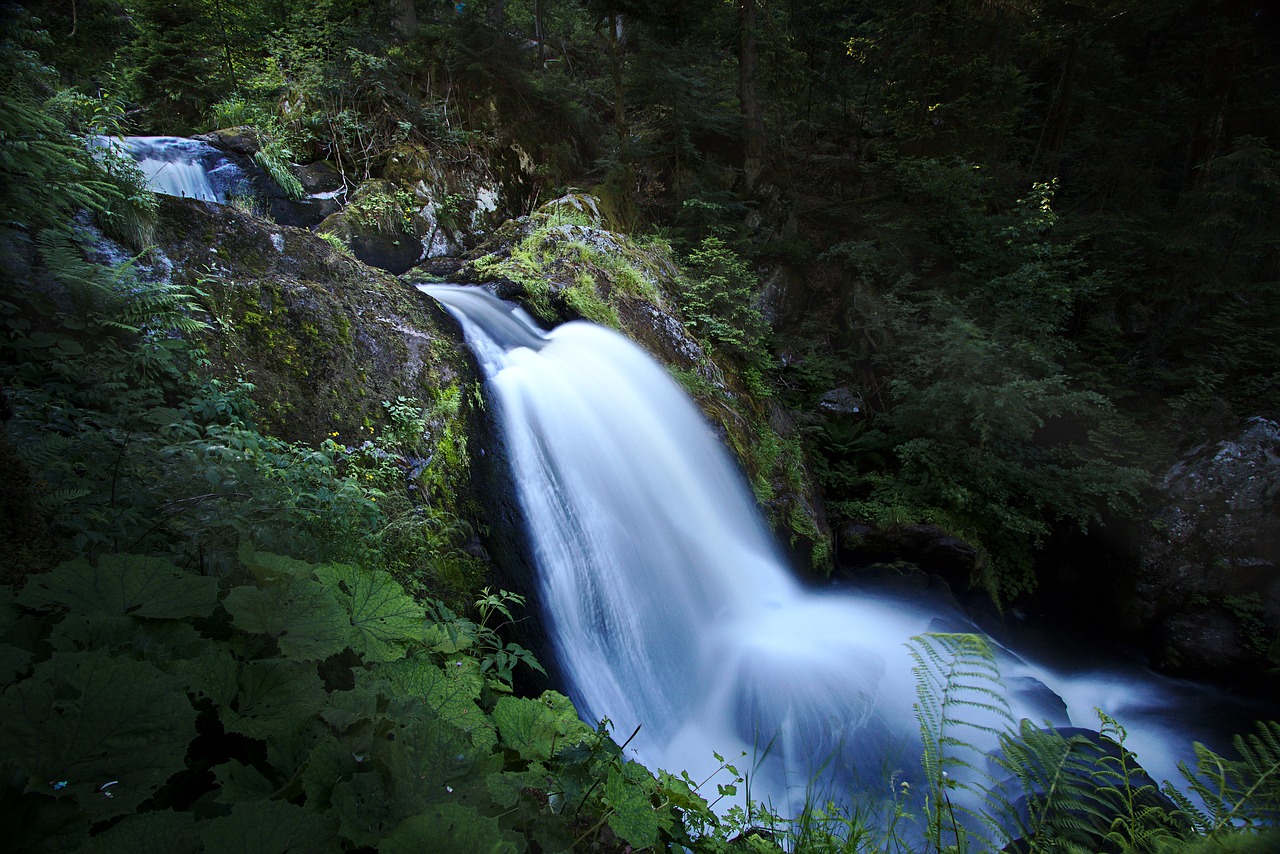 waterfall  triberg  black forest free photo