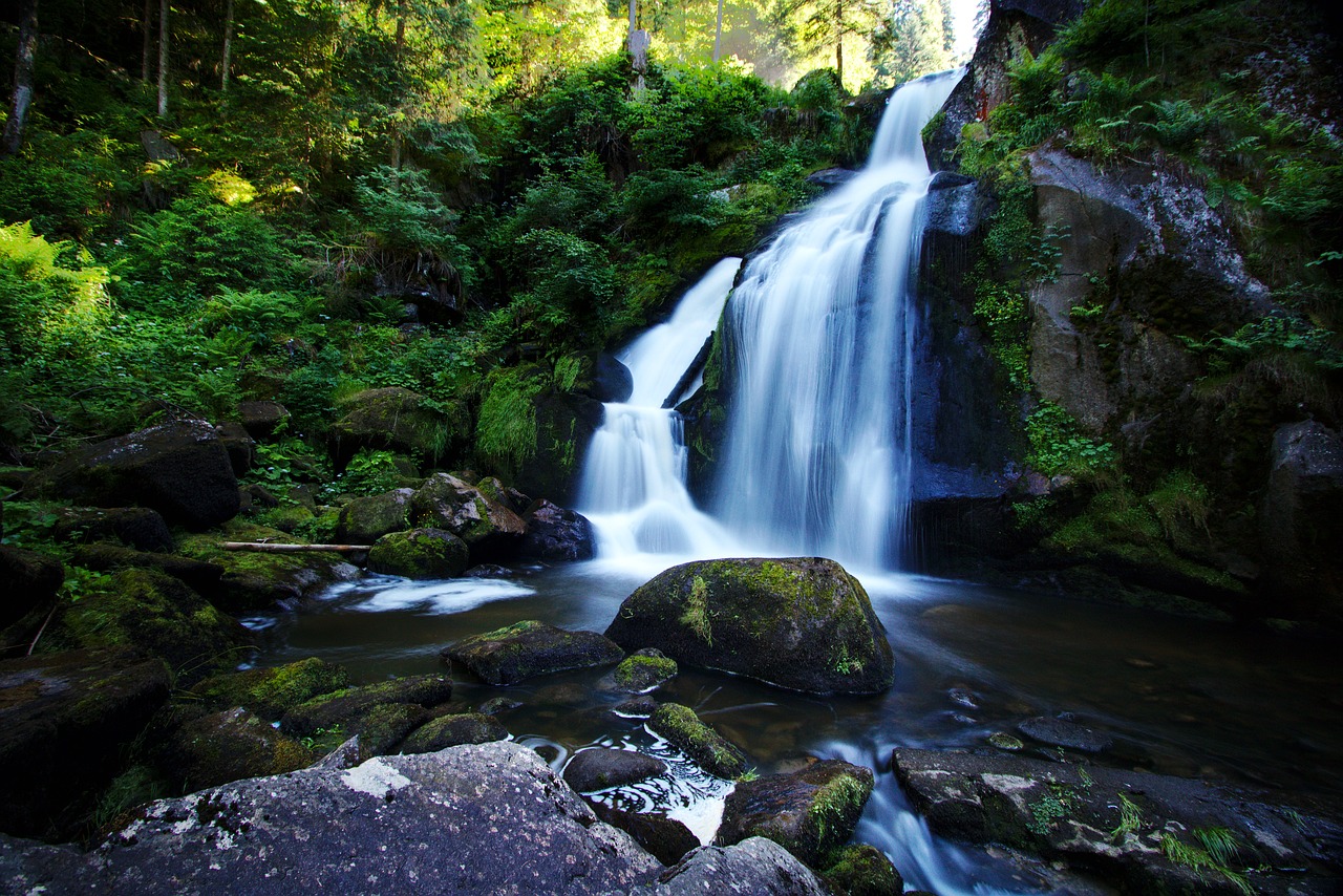 waterfall  black forest  water free photo