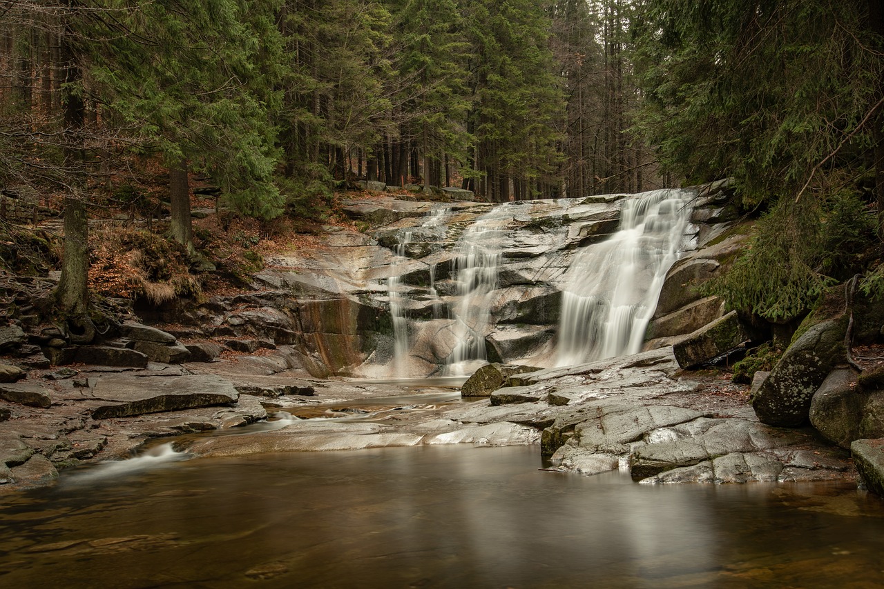 waterfall  autumn  forest free photo