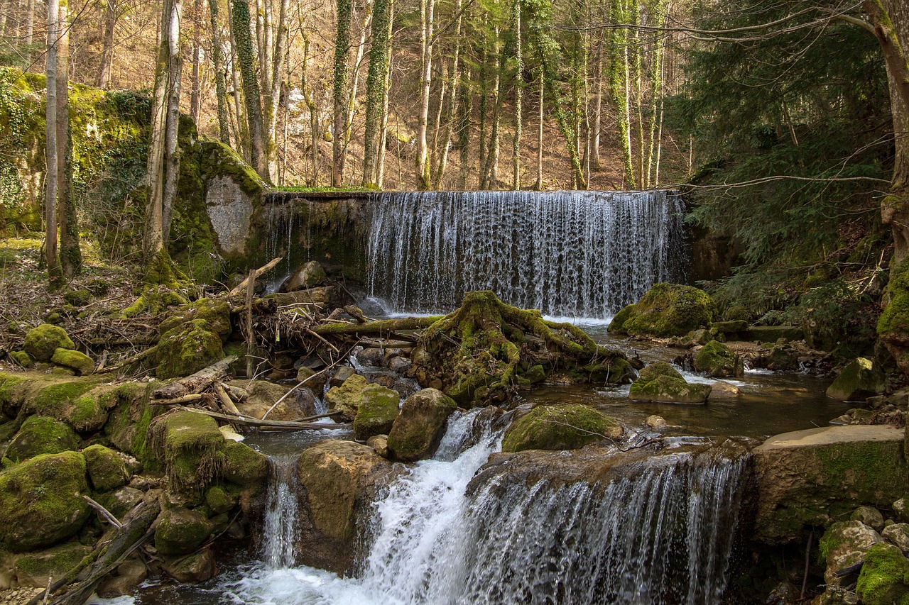 waterfall  cascade  water free photo