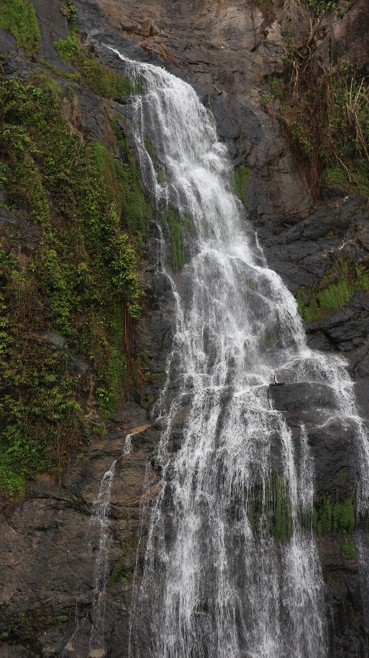 waterfall  water  nature free photo