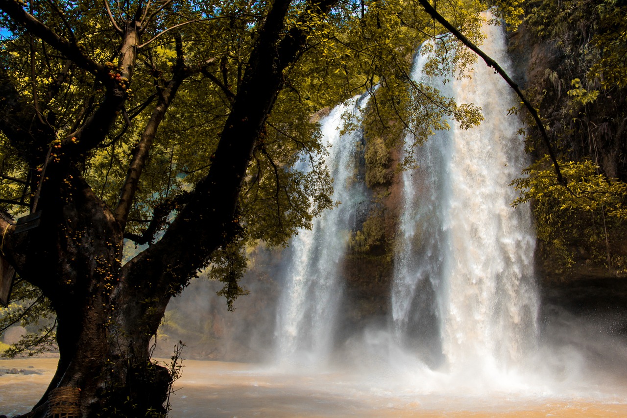 waterfall  river  water free photo