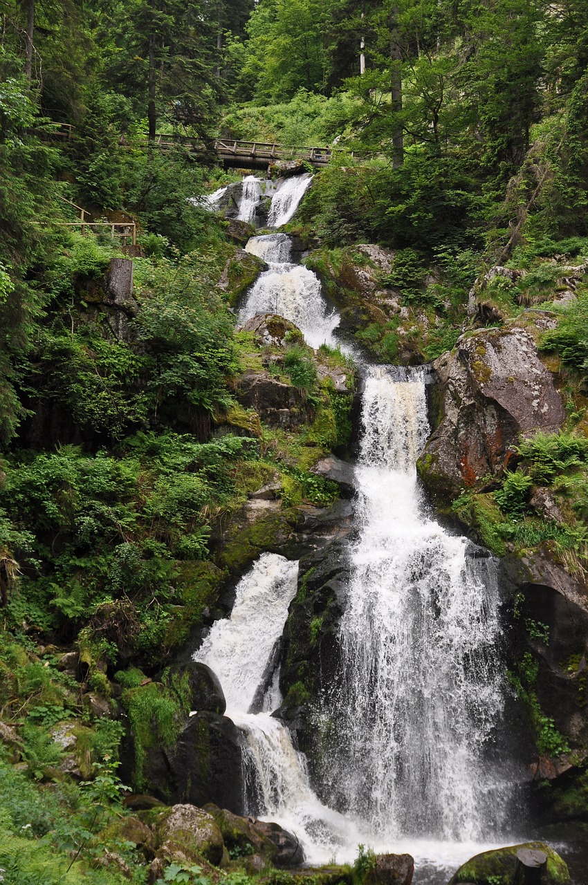 waterfall  water  triberg free photo