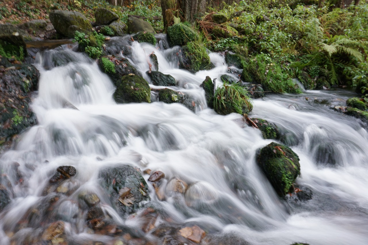 waterfall  green  flow free photo