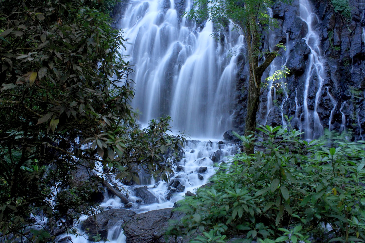 waterfall  water  long exposure free photo