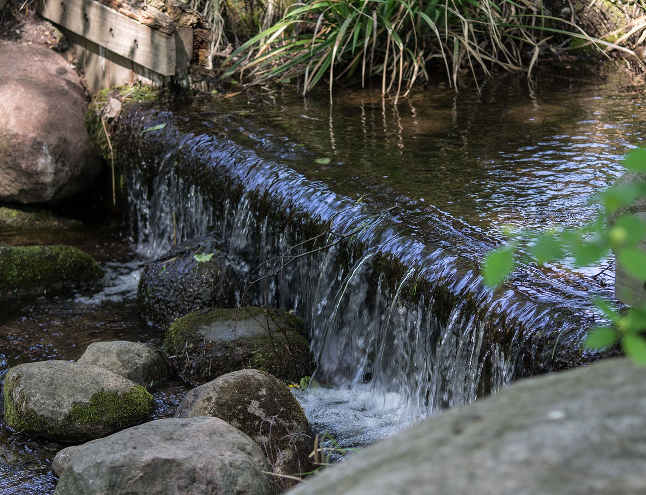 waterfall  bach  nature free photo