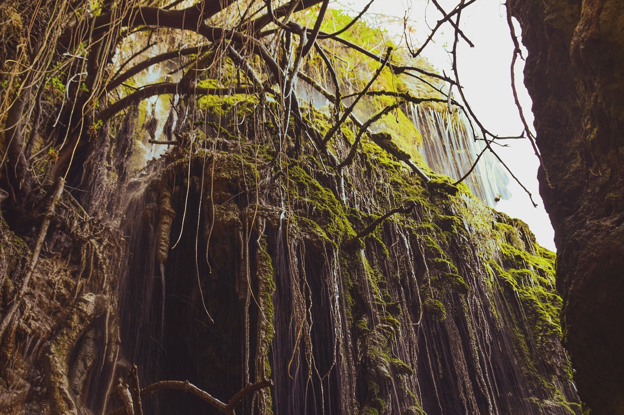 waterfall  cave  nature free photo