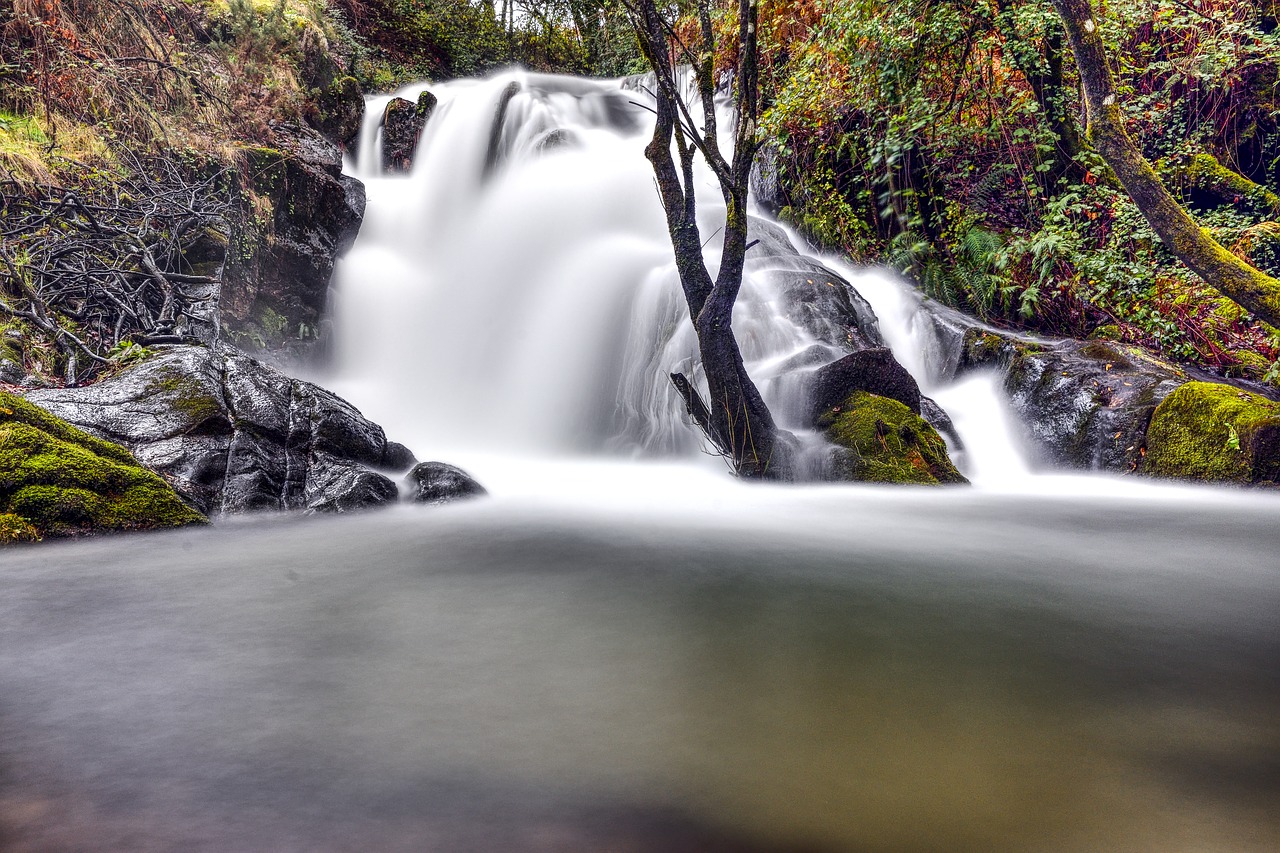 waterfall  water  nature free photo