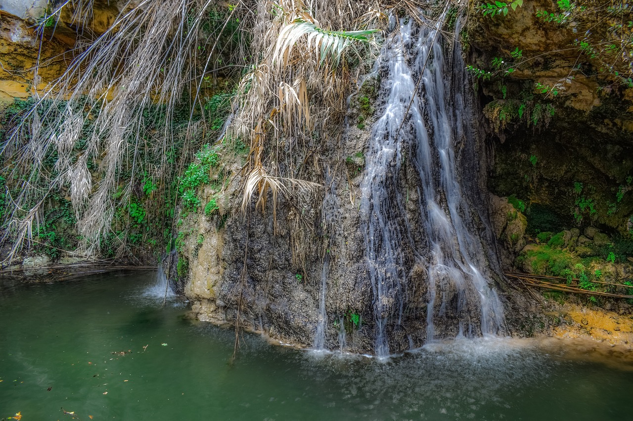 waterfall  nature  rock free photo