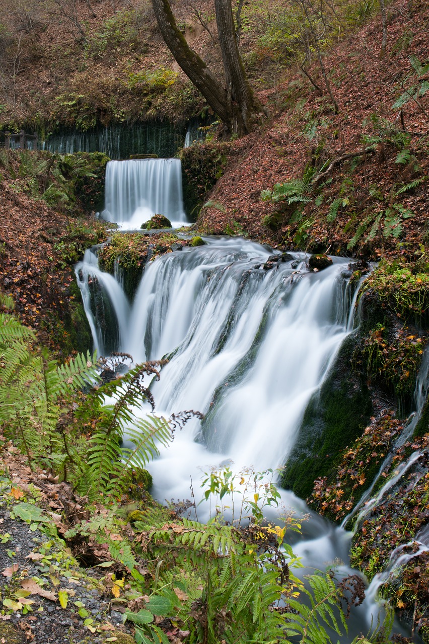 waterfall  fall  water free photo