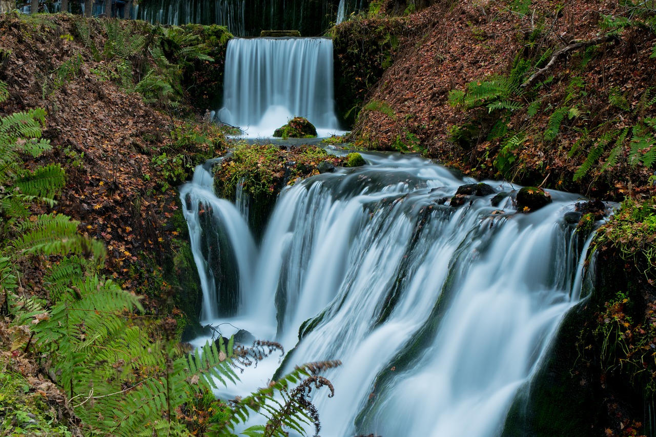 waterfall  fall  water free photo