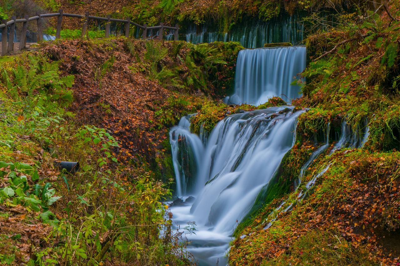 waterfall  fall  water free photo