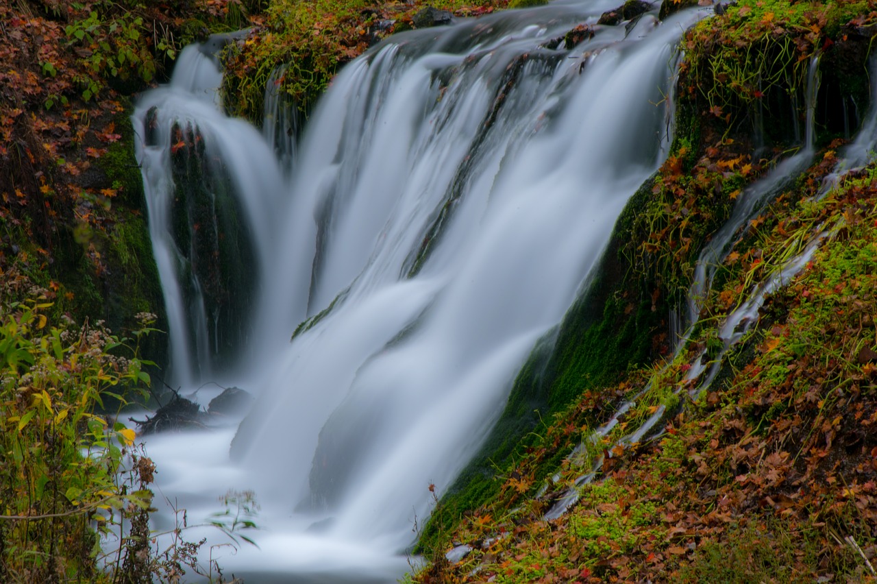 waterfall  fall  water free photo