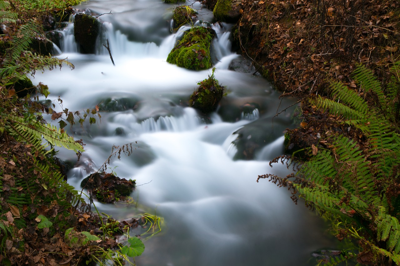 waterfall  fall  water free photo