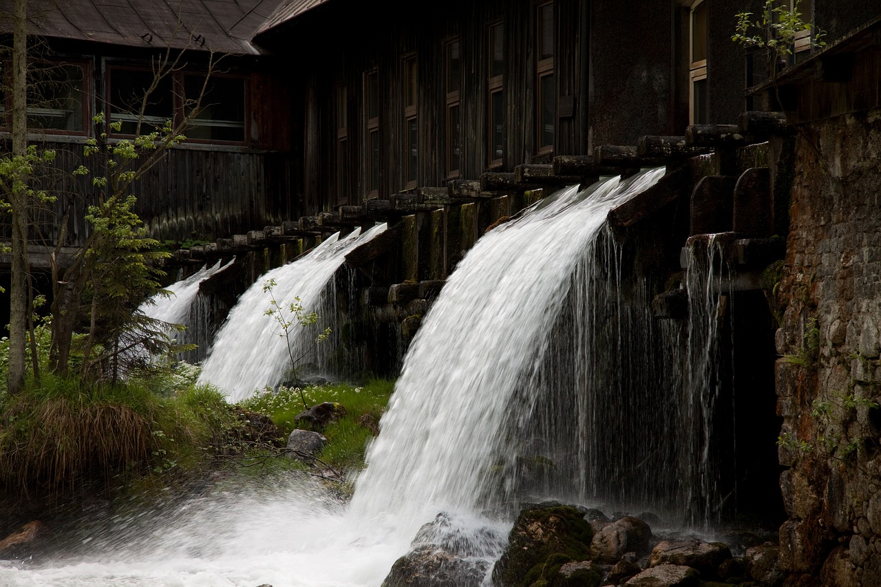 waterfall  plant  water free photo