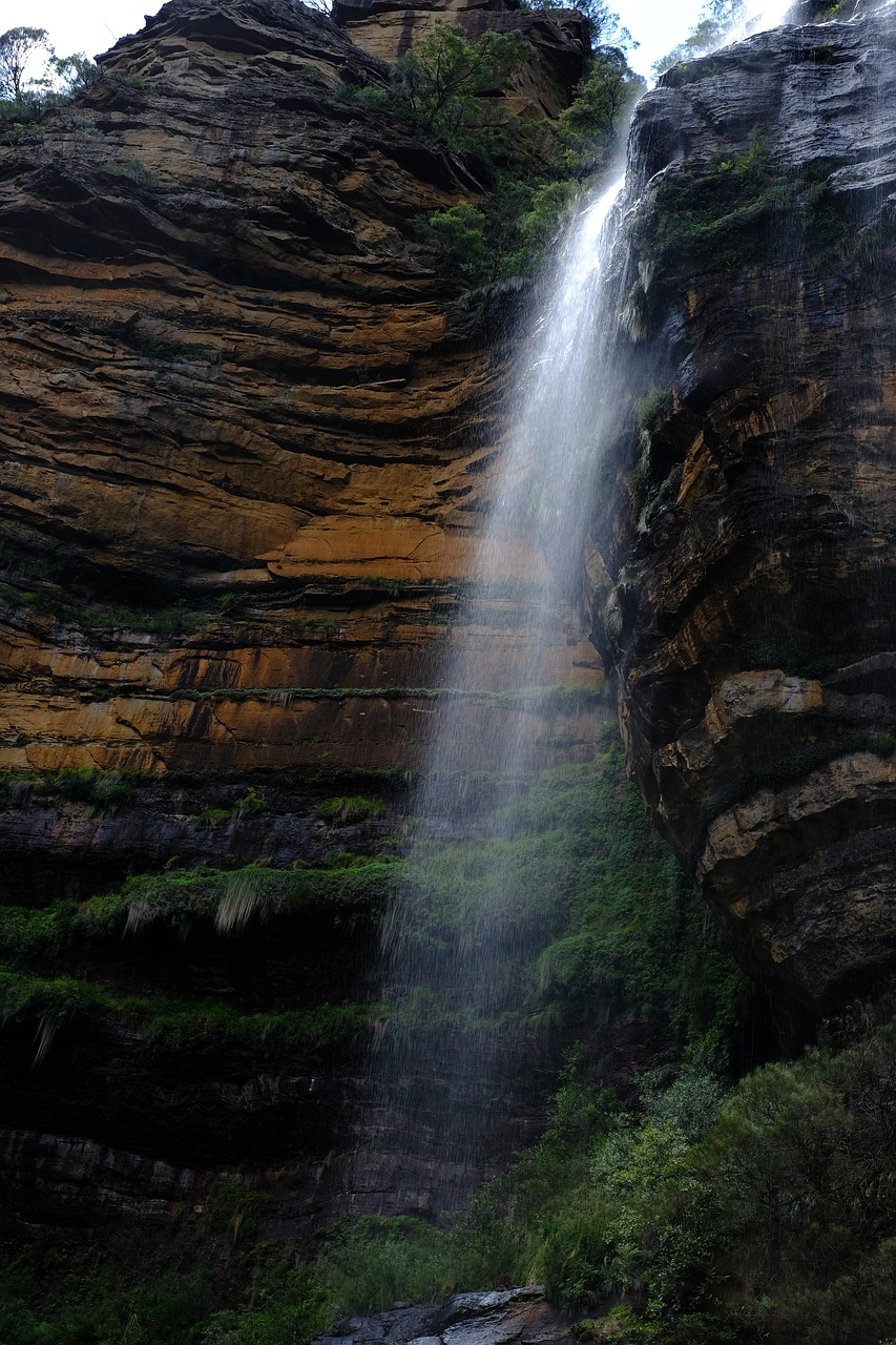 waterfall  wentworth falls  wentworth free photo