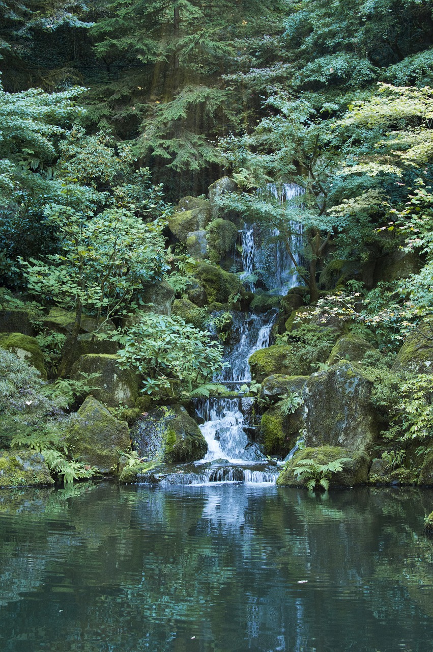 waterfall  garden  pond free photo