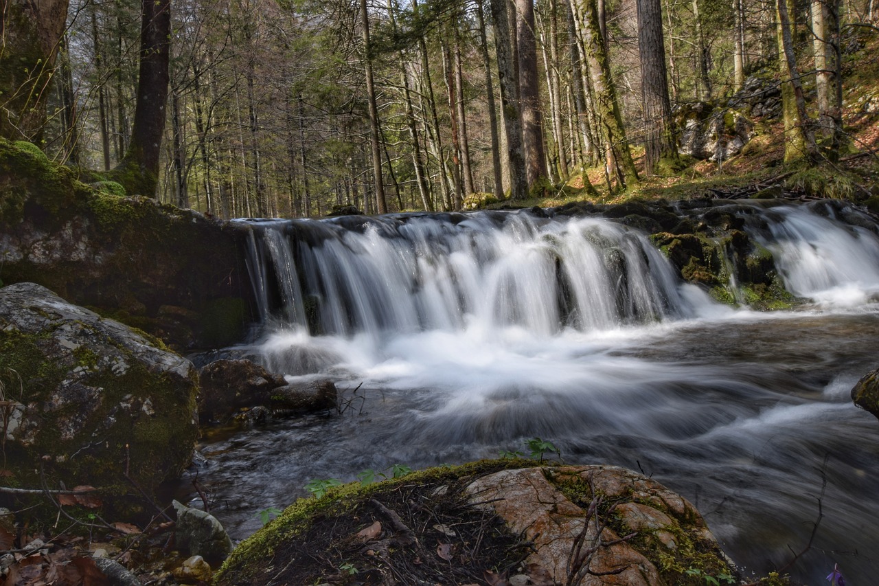 waterfall  water  nature free photo