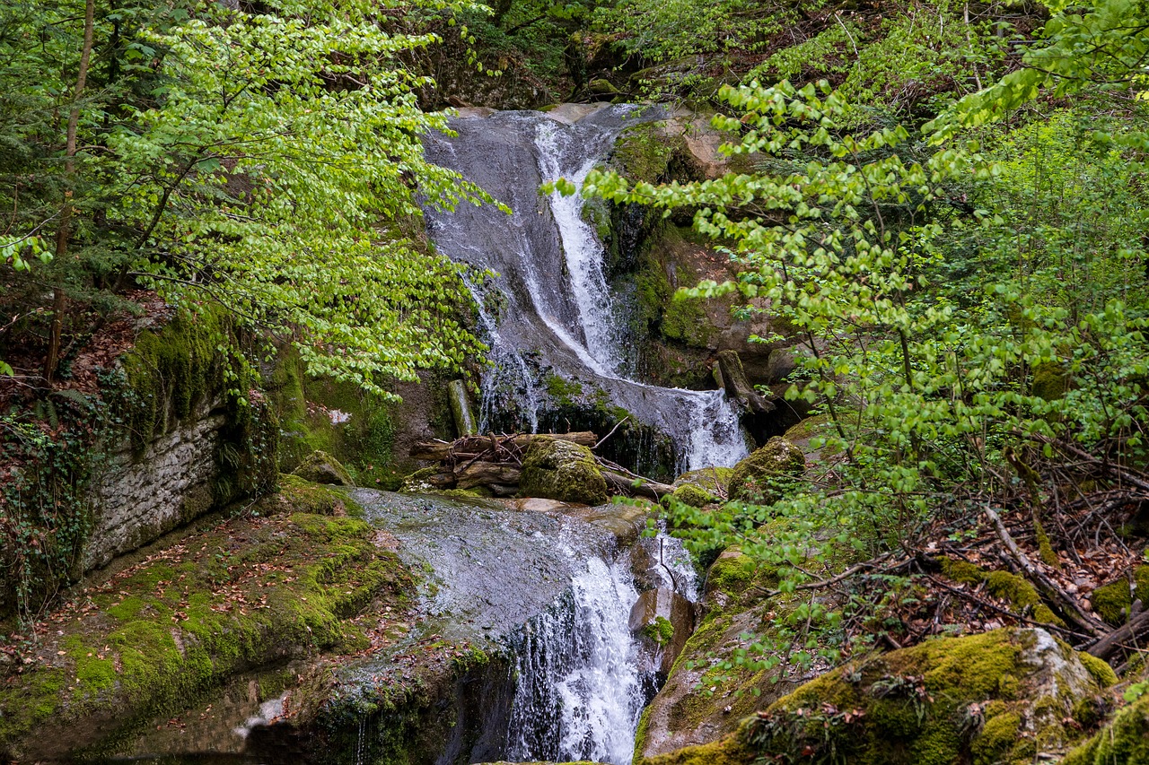 waterfall  mountain stream  green free photo