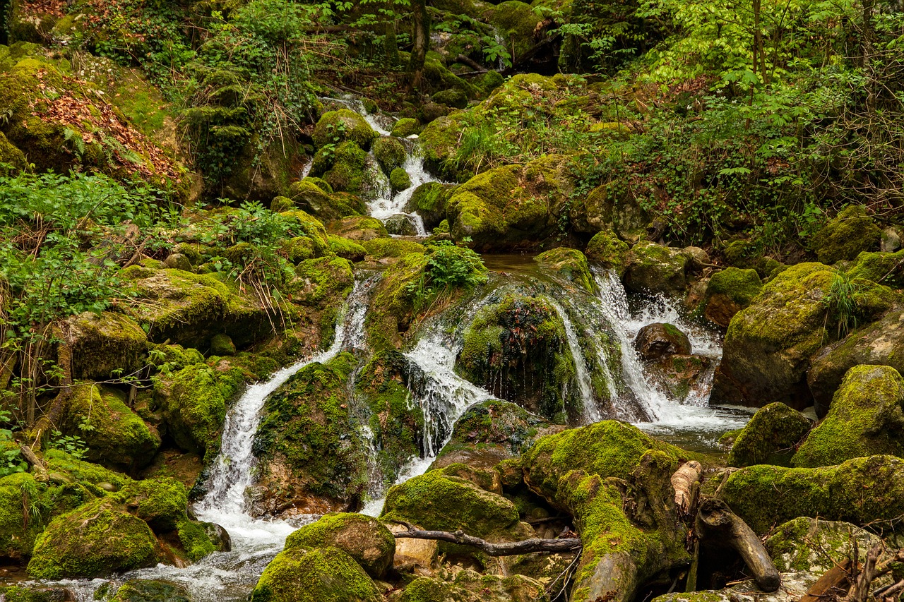 waterfall  mountain stream  green free photo
