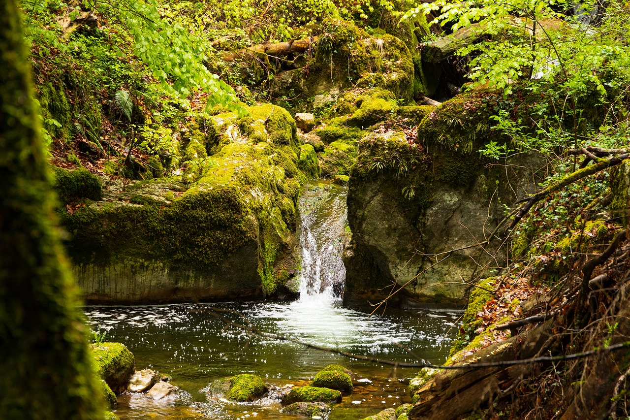 waterfall  mountain stream  green free photo